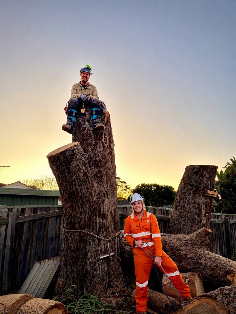 Dave and offsider from Estuary Trees & Gardens after safely removing a large gum at sunset